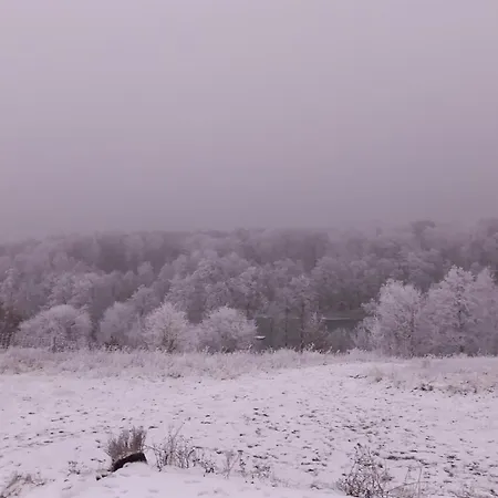 Mylin Chrzypsko Wielkie