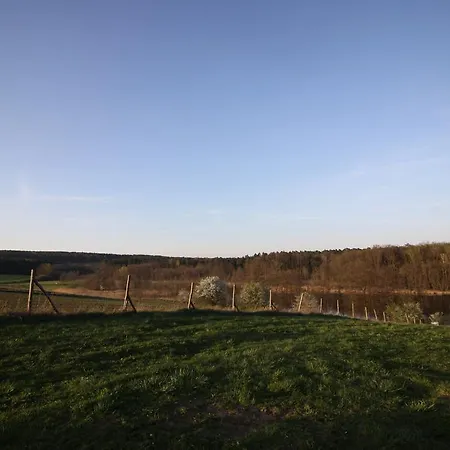 Mylin Chrzypsko Wielkie