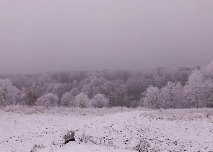 Mylin Chrzypsko Wielkie