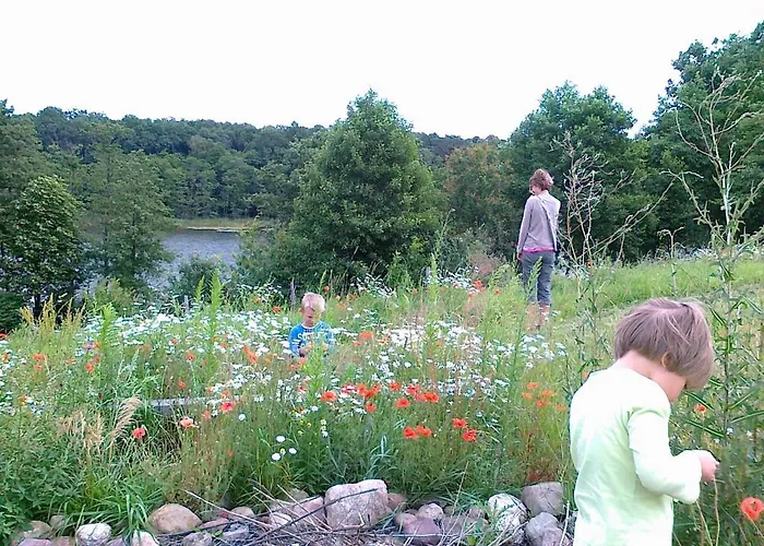 Mylin Chrzypsko Wielkie