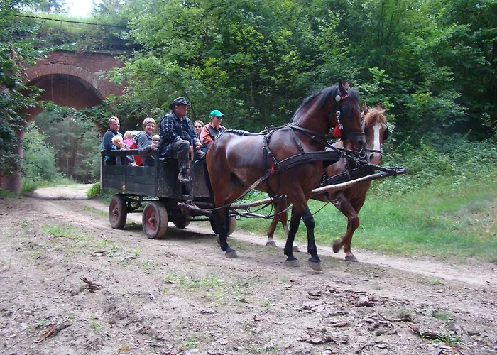 Séjour à la ferme Mylin Chrzypsko Wielkie