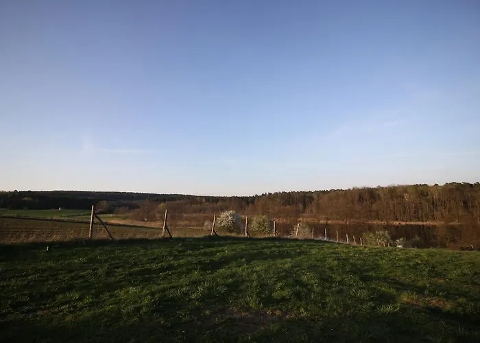 Mylin Chrzypsko Wielkie